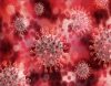 Dall&#039;Università di Bari emerge un nuovo studio sul virus del SARS-CoV-2