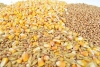 Cereali &amp; Co Cereali base della dieta mediterranea