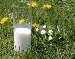 Il potere altamente protettivo del latte in ambito virale