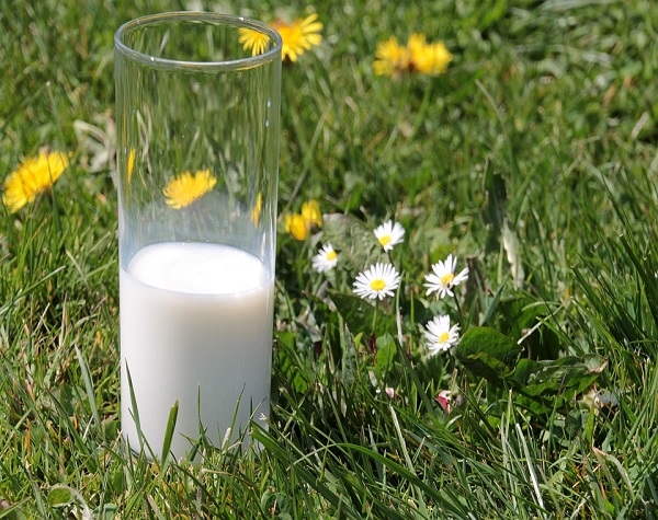 Il potere altamente protettivo del latte in ambito virale