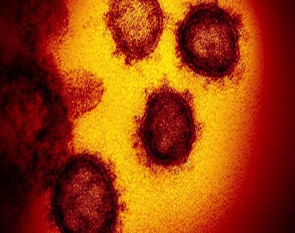 Coronavirus. Facciamo il punto sulla prevenzione