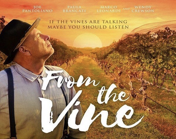 FROM THE VINE venduto da Minerva Pictures conquista il box office neozelandese