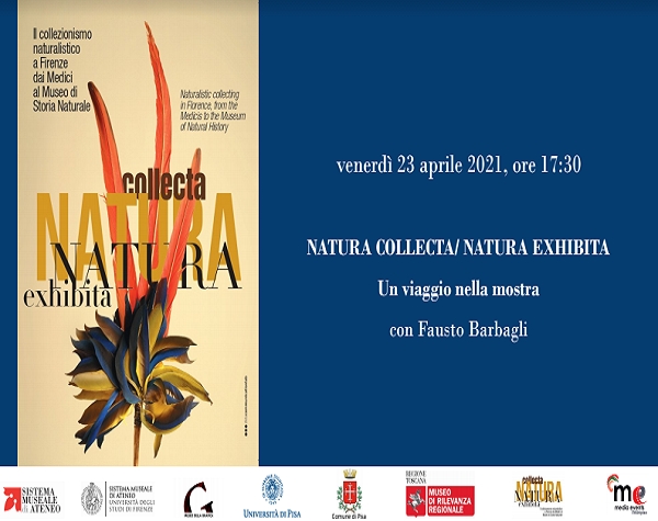 Visita virtuale alla mostra “Natura collecta Natura exhibita” allestita nella Basilica di San Lorenzo