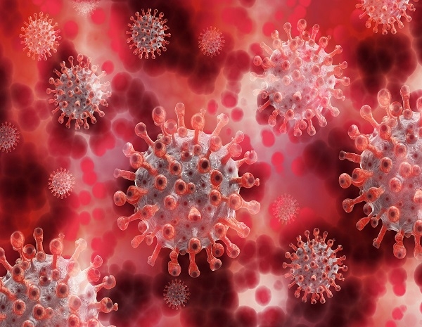 Dall’Università di Bari emerge un nuovo studio sul virus del SARS-CoV-2