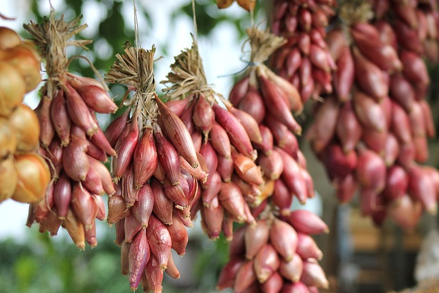 La cipolla, un antico ingrediente amato ancora oggi