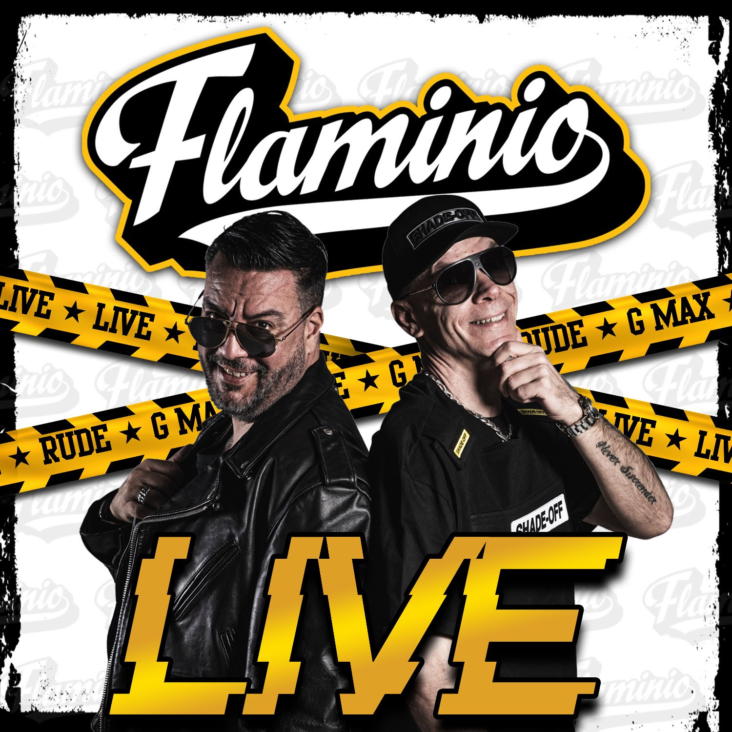 Flaminio: Live è il disco dal vivo che raccoglie 30 anni di carriera