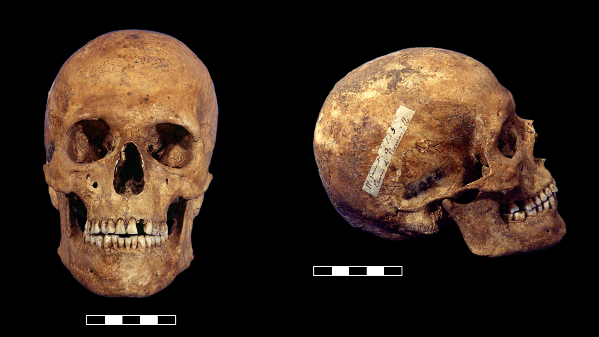 L’enigma del Medioevo a Grotta Romanelli: tre corpi e un mistero lungo millenni