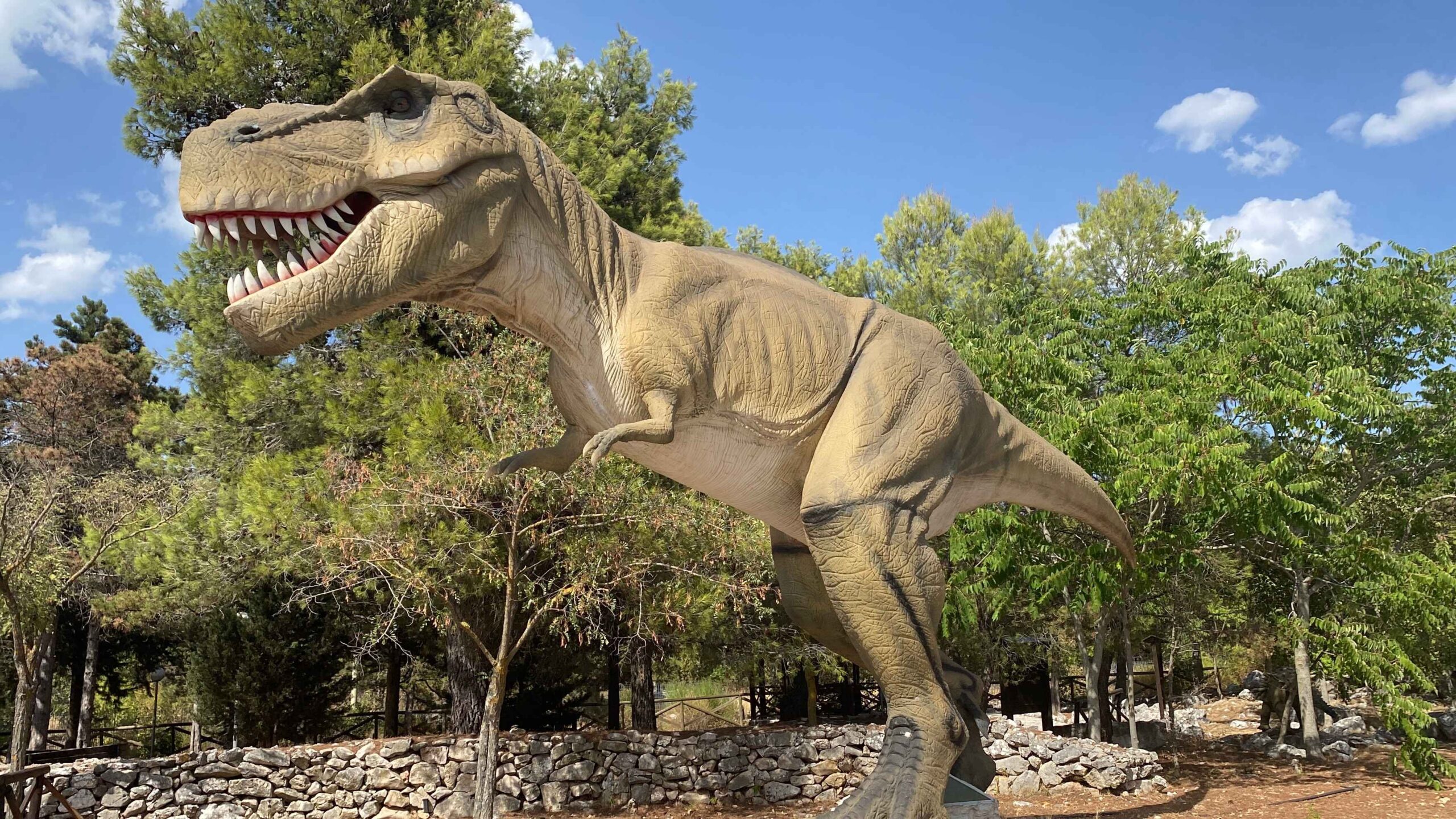 Viaggio nella Preistoria del Gargano: Guida al Museo Paleontologico dei Dinosauri di Borgo Celano