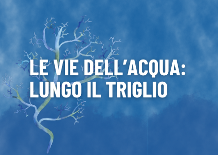 Oltre l’acciaio: a Statte tre giorni per riscoprire il mito, la storia e la letteratura di un territorio